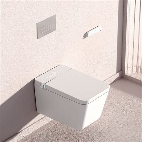 Monarch Wall Mounted Bidet Toilet Manufacturers Suppliers in China