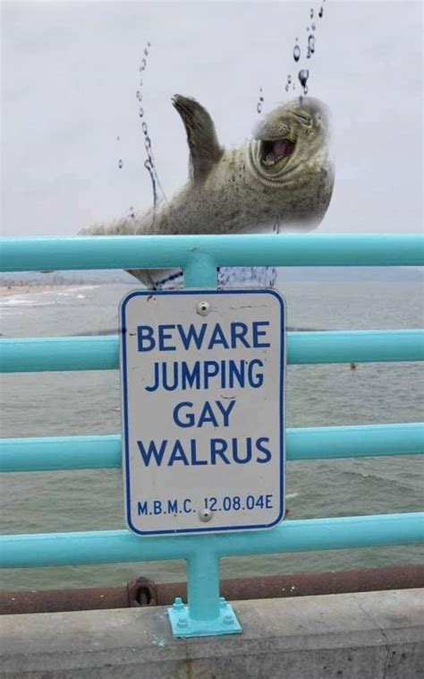Gay Jumping Walrus