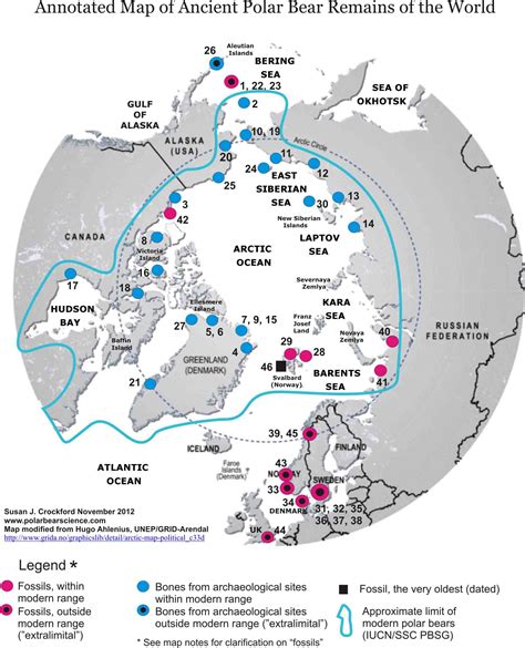 Ancient Polar Bear Remains of the World | polarbearscience