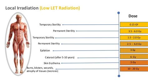 Know The Effects Of Ionizing Radiation In Human Body