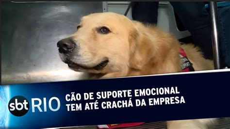 Cão de suporte emocional tem até crachá da empresa YouTube