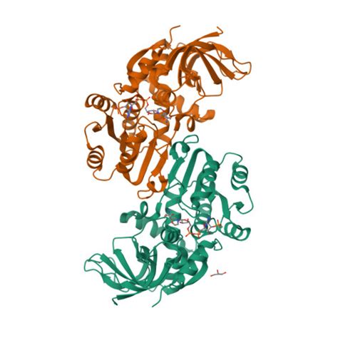 RCSB PDB 3QWB Crystal Structure Of Saccharomyces Cerevisiae Zeta