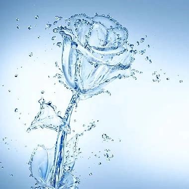 Katheter Klistier Free Hd Porn Video Xhamster