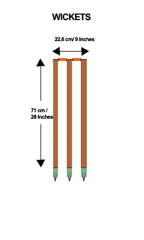 Details of Cricket stumps