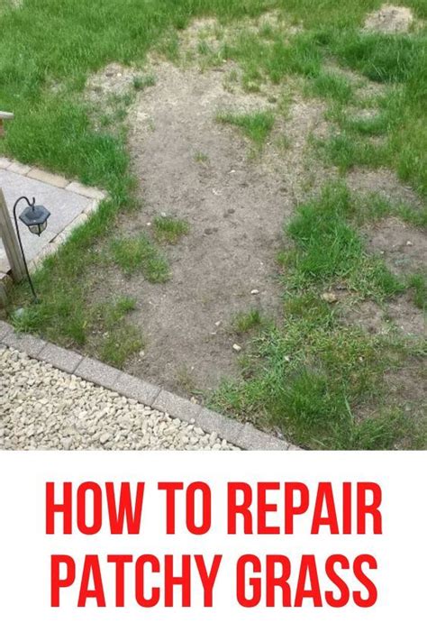 How To Repair Patchy Grass Planting Grass Seed How To Plant Grass