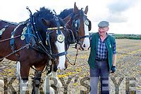 43 Ballyheigue Ploughing 5043 Kerry S Eye Photo Sales