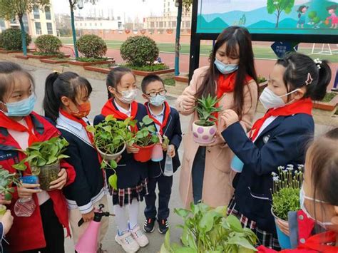 郑州市中原区锦绣小学举行植树节主题实践活动教育资讯河南商报网