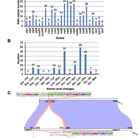 Characteristics Of The Rna Editing Sites Identified In Protein Coding