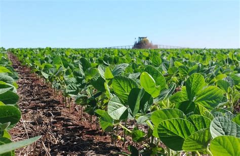 Cuidados Para A Semeadura Da Soja Agroprecision