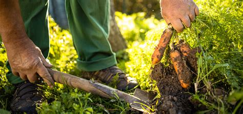 El Papel De La Agricultura Regenerativa Ante Los Retos Del Sector