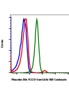 Phospho Btk Y Recombinant Mab Abwiz Bio