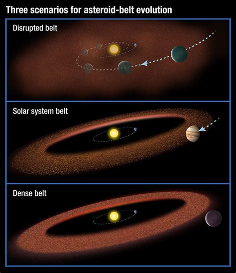 Life Near the Asteroid Belt - California Academy of Sciences