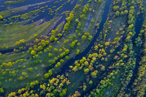 Achieving Protected Status For Polesia Europes Largest Wetland