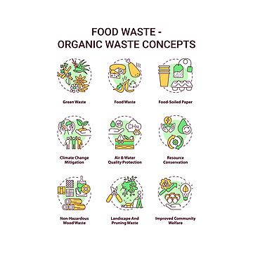 Food Waste Concept Icons Set Nature Organic Complex Vector Nature