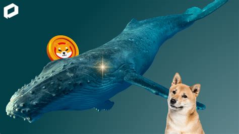 Whale Shiba Inu Serok Juta Shib Jelang Launching Shibarium