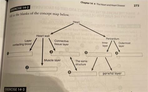 Solved Chapter 14 The Heart And Heart Disease 273 Exercise