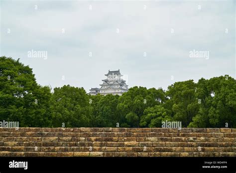 Himeji Castlehimejijapan July 82019 Himeji Castle With Tree And