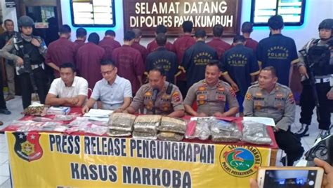 14 Pelaku Narkoba Berhasil Ditangkap Satresnarkoba Polres Payakumbuh