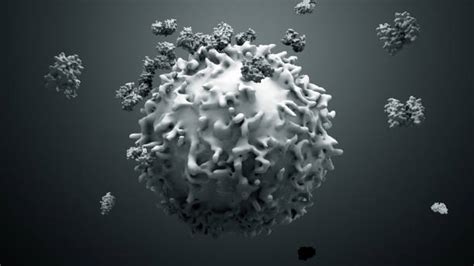 Human Leukocyte Antigen Stock Photos, Pictures & Royalty-Free Images ...