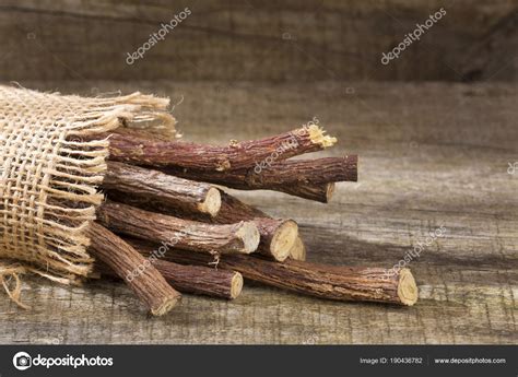Корни Солодки Glycyrhiza Glabra стоковое фото ©Luisecheverriurrea 190436782