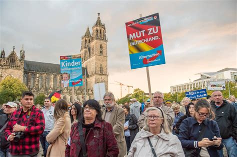 Wer Sind Die Afd Wähler Nzz Am Sonntag