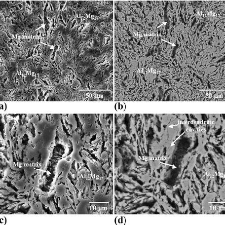 Secondary electron microscopy images (a) and (c) and backscatter ...