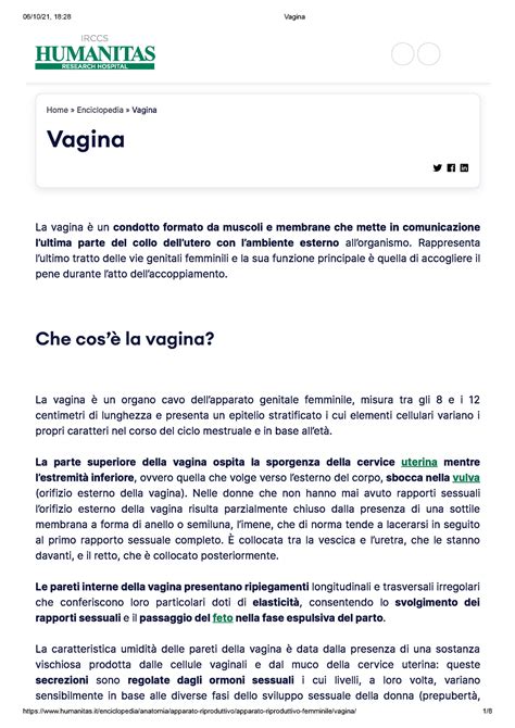 Vagina Condotto Che Ti Piace BIOLOGIA UNICAL Studocu