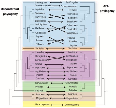 Forests Free Full Text The Use Of Dna Barcoding To Assess