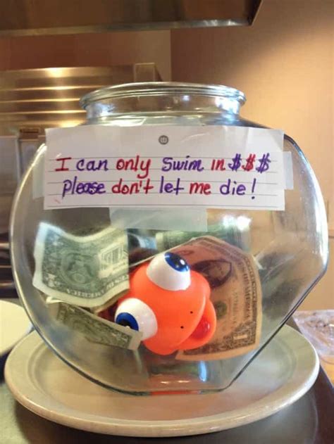 Funny Tip Jars List Of Best Tip Jars