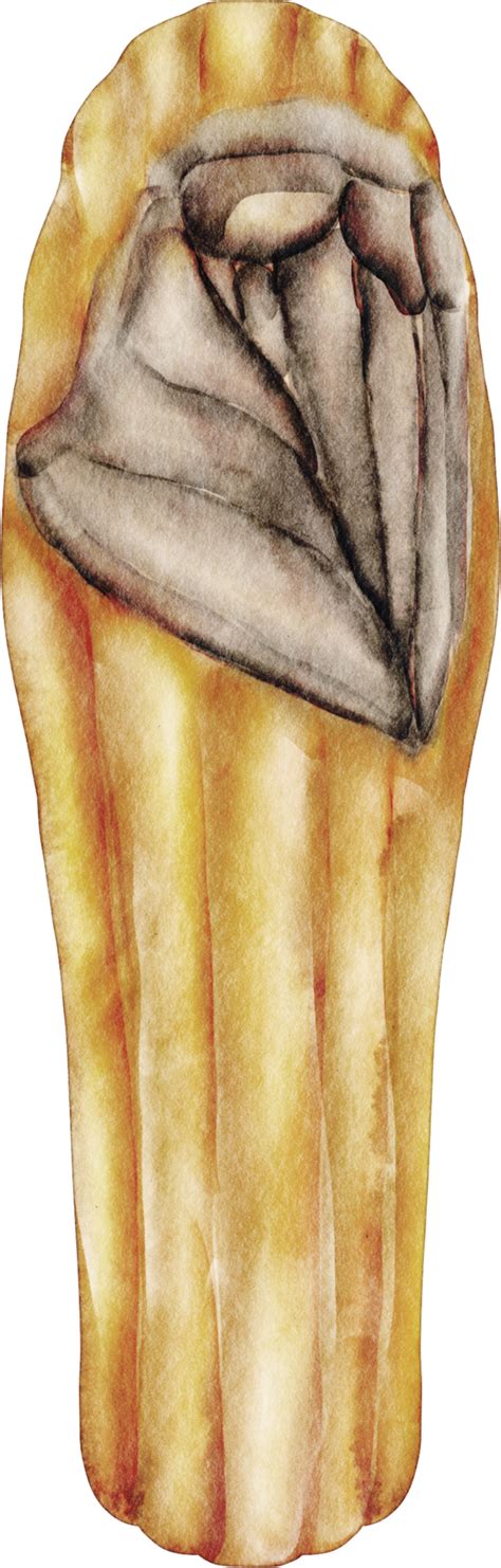 Watercolor Sleeping Bag Clip Art Png