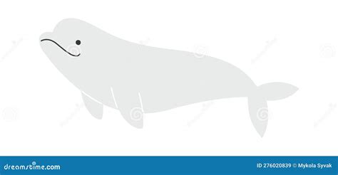 Swimming Beluga Whale Cartoon Vector | CartoonDealer.com #276020839