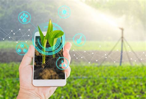 Tecnologias Que Ser O Tend Ncias No Agroneg Cio Em Rnti