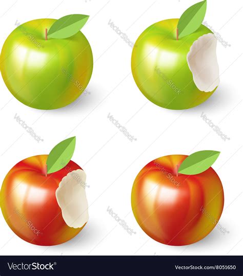 Apples Royalty Free Vector Image Vectorstock