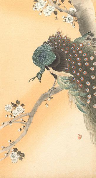 Pauw In Kersenboom Van Ohara Koson Op Canvas Behang Poster En Meer