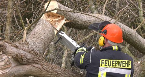 NonstopNews Großer Baum stürzt im Landkreis Wittmund um Feuerwehr