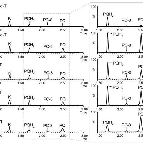 Extracted Ion Chromatograms Illustrating The Influence Of The Five Download Scientific Diagram