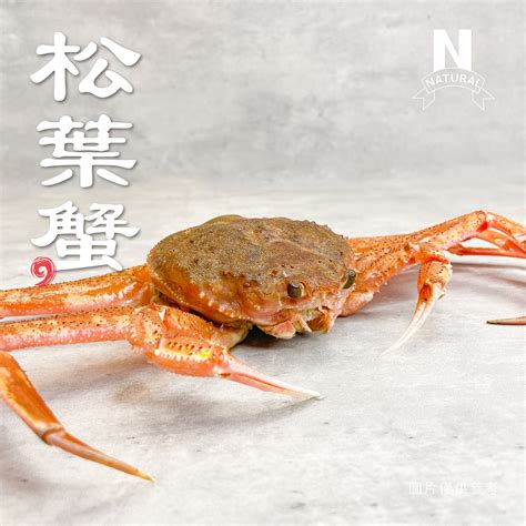 松葉蟹 Queen Crab 園芯貿易有限公司