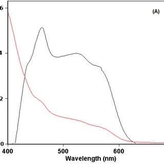 Absorption Spectra Of The Reaction Product Of TCNQ 1 0 X 10 3 Mol L