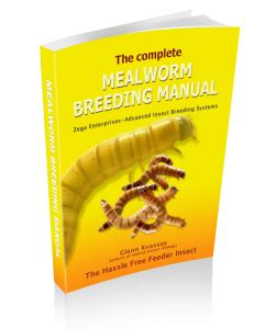 Breeding MealwormsWild Life Hub