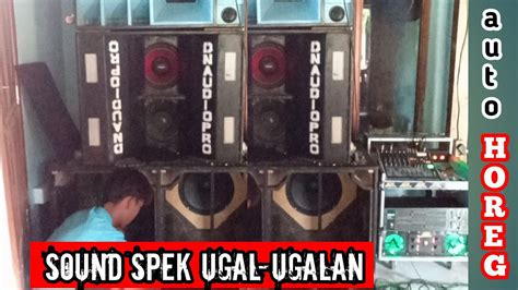 Ini Baru Horeg Cek Sound Box Planar Double Inchi Auto Getar