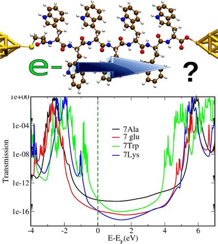 通过同肽的电子传输它们真的是良导体吗 ACS Omega X MOL