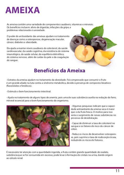 Ameixa Roxa Comum Benefícios Calorias Características E Fotos