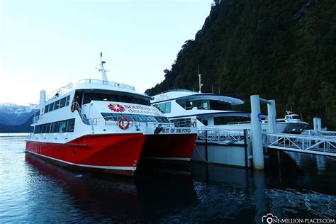 Milford Sound Eine Bootsfahrt Durch Den Fjord Neuseeland