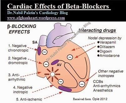 Dr.Nabil Paktin's Cardiology Blog مجله کاردیولوژی دکتور نبــیل پاکطـین ...