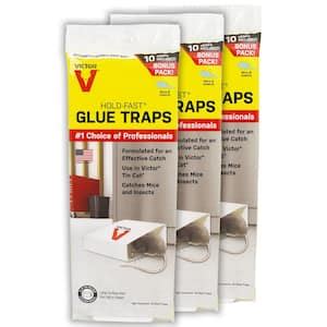 Victor Mouse and Insect Glue Trap for Tin Cat (72-Pack) M309 - The Home Depot