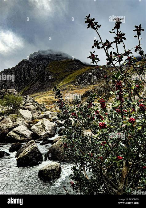 Mount Tryfan, Snowdonia National Park Stock Photo - Alamy