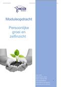 Moduleopdracht Persoonlijke Groei En Zelfinzicht CIJFER 10 Incl