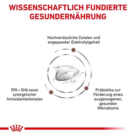 Royal Canin Veterinary Gastrointestinal Trockenfutter F R Katzen