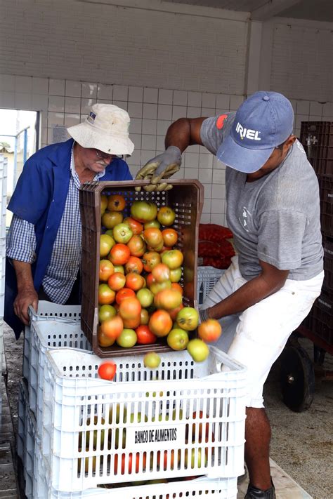 Ceasa Reaproveita Mil Toneladas De Alimentos Por Ano Ag Ncia