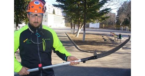 Арборист? В България е между хоби и занаят - грижи се за здравето на ...